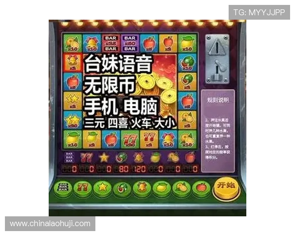 多种主题老虎机游戏手机版单机版本，随时随地畅玩不停歇