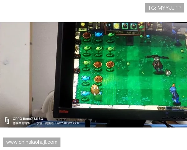 电脑上的老虎机怎么玩，初学者必看的完整操作指南