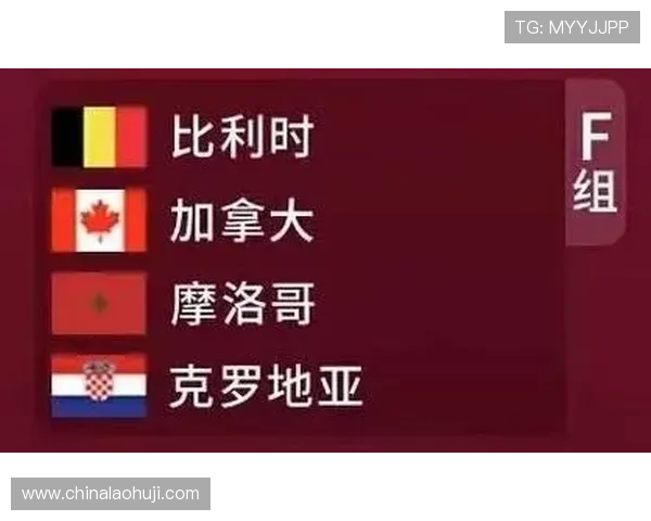 加拿大地区卡塔尔世界杯转播渠道汇总，提供官方授权平台和高清观看方式